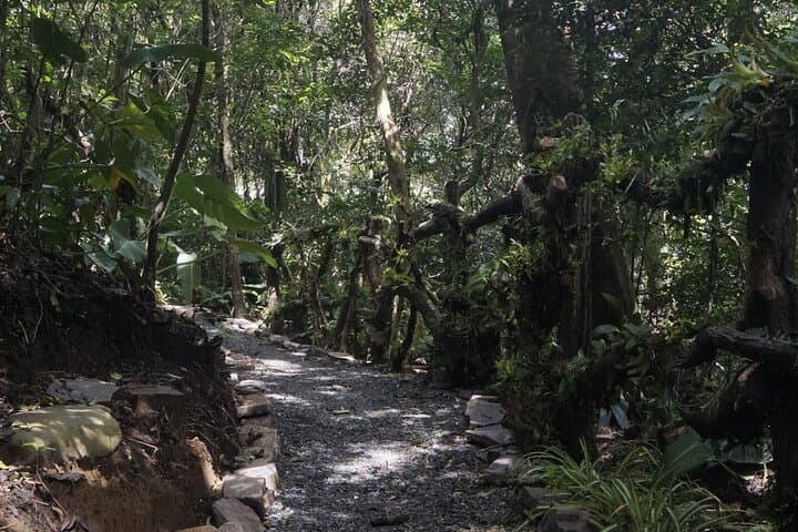 Monteverde Local Experience: Handicrafts, Cheese & Traditional Ranch Tour photo 3