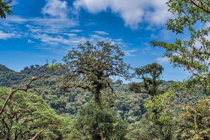 Monteverde Local Experience: Handicrafts, Cheese & Traditional Ranch Tour photo 2
