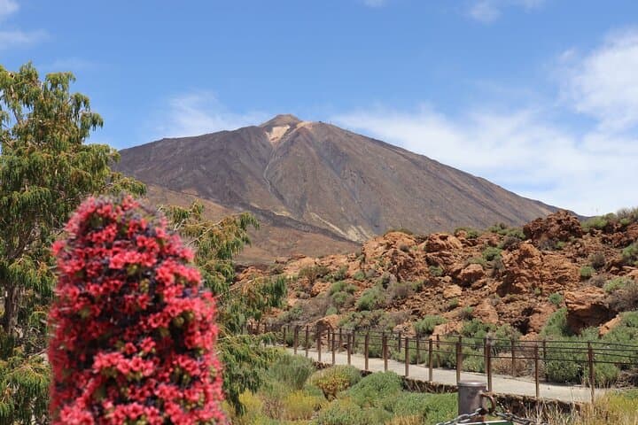 Full-Day Masca, Garachico, Icod & Teide National Park Tour from Tenerife