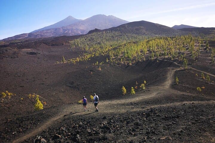 Full-Day Masca, Garachico, Icod & Teide National Park Tour from Tenerife photo 4