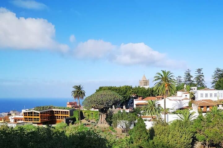 Full-Day Masca, Garachico, Icod & Teide National Park Tour from Tenerife photo 5