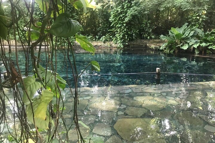Ometepe Island One-Day Circuit: Volcano Hikes, Petroglyphs & Charco Verde photo 4