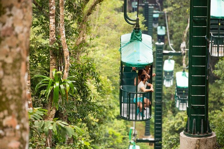 Exploring Costa Rica’s Braulio Carrillo National Park: Aerial Tram and Rainforest Gardens Adventure photo 6