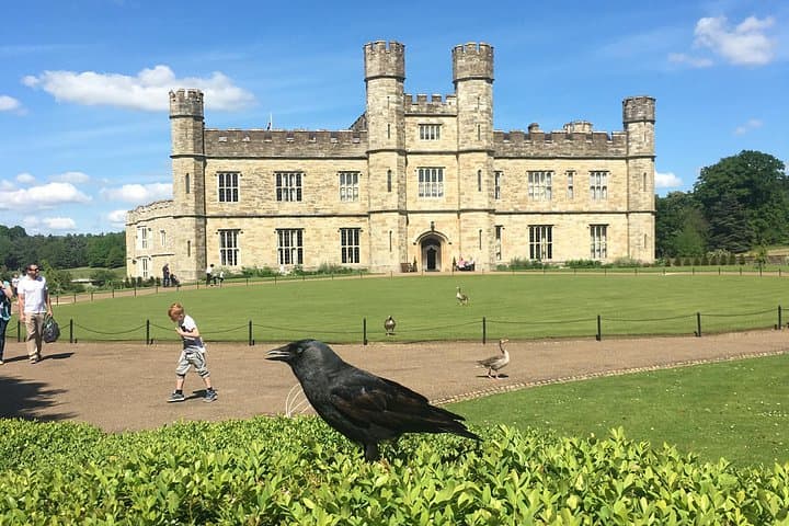 Private Leeds Castle Tour From London — Skip-the-Line Tickets & Transport