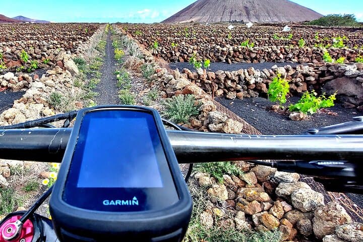 E-Bike Lanzarote: Timanfaya Volcano Craters & La Geria Vineyards photo 2