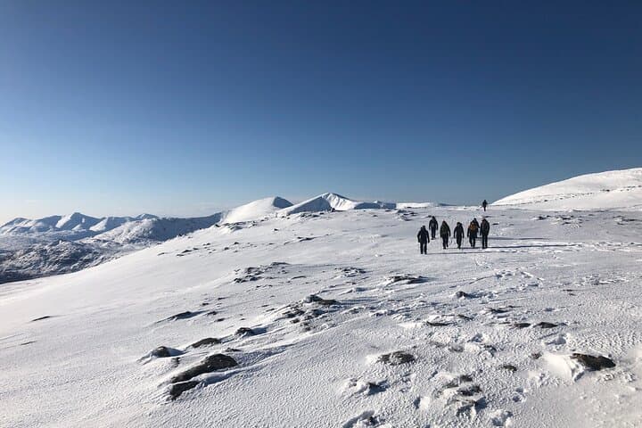 Cairngorms Winter Mountain Walking: Guided Full-Day Snow & Crampon Experience photo 6