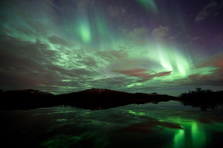Aurora Husky Visit Near Tromsø: Huskies, Arctic Dinner & Northern Lights photo 5