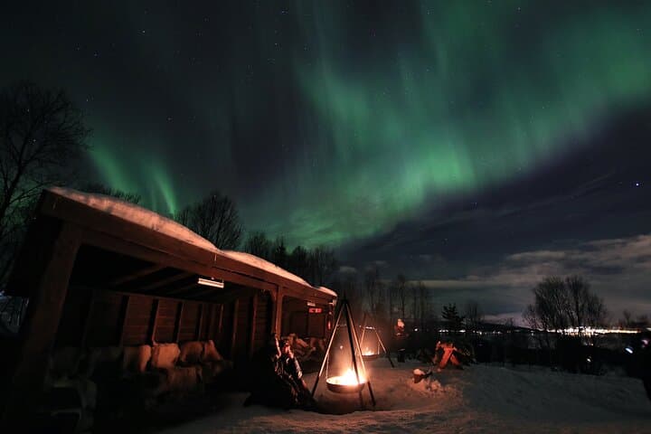 Aurora Husky Visit Near Tromsø: Huskies, Arctic Dinner & Northern Lights photo 6