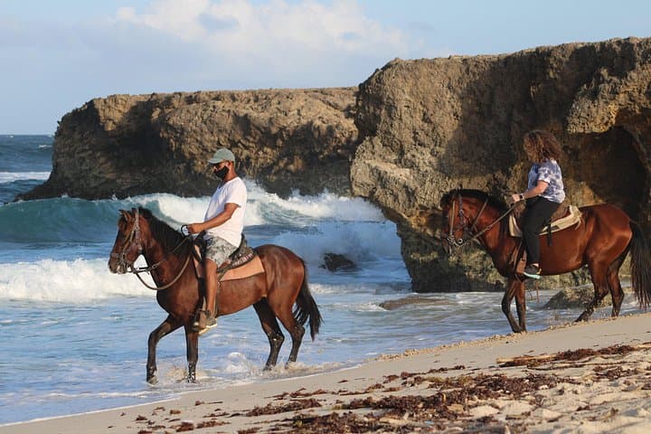 Horseback Riding & Natural Pool Adventure in Arikok National Park, Aruba photo 5