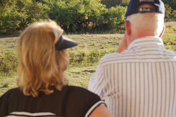 Zambezi River Sunset Cruise: Hippos, Elephants and Golden Skies at Victoria Falls photo 4