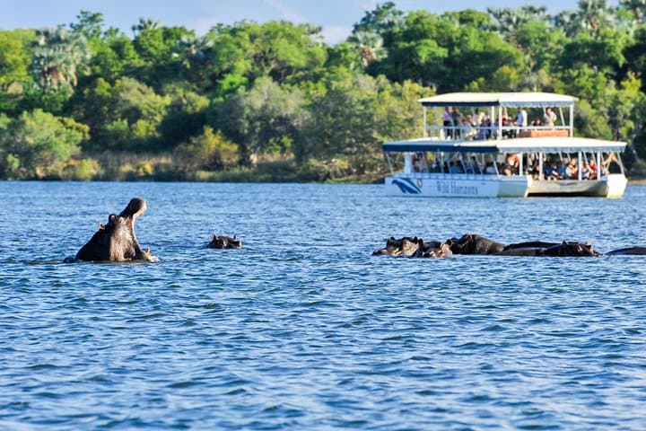 Zambezi River Sunset Cruise: Hippos, Elephants and Golden Skies at Victoria Falls photo 1