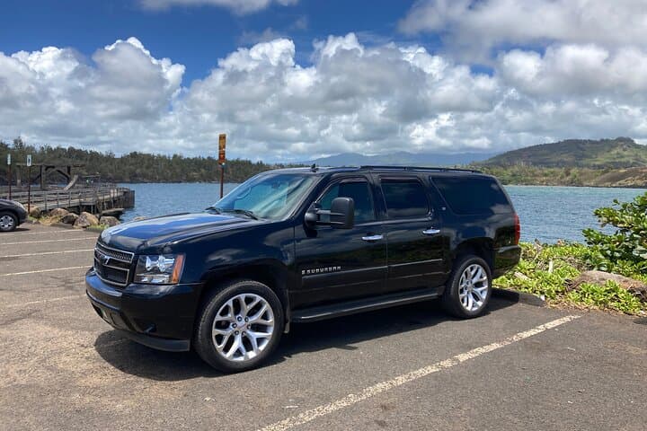 Kauai Cruise Ship Roundtrip Private SUV Transfers from Nawiliwili photo 1