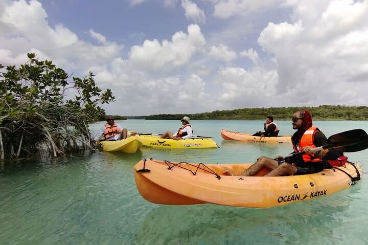 Paddling Bacalar: Kayaks, Cenote Azul & Lagoon Day Trip from Playa del Carmen photo 1