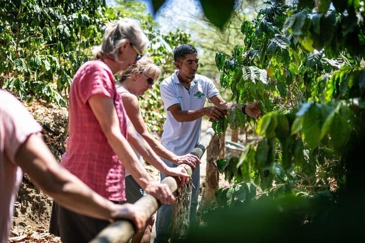 Discover Dominican Culture: An Enriching Half-Day Experience photo 6
