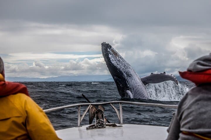 Ultimate Alaskan Adventure: From Ocean Wildlife to Interior Wilderness in 9 Days photo 3