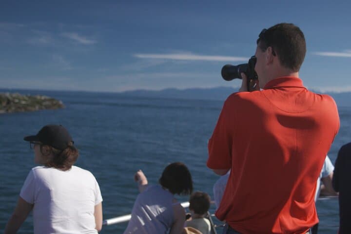 Seattle Whale Watching from Pier 69 — Salish Sea Wildlife Cruise (3–5 hrs) photo 4