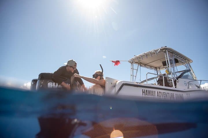 Open Water Shark Dive on Oahu's North Shore — Haleiwa Shark Snorkel Experience photo 4