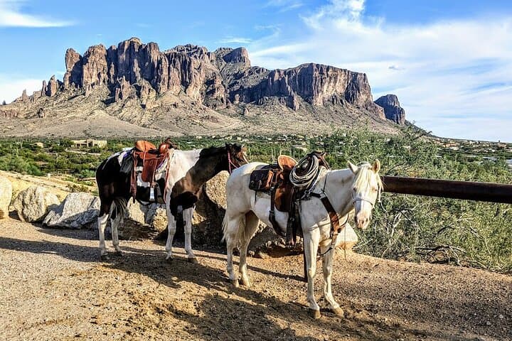 Explore Arizona’s Apache Trail: Private Day Tour with Scenic Canyon Lake Cruise photo 3