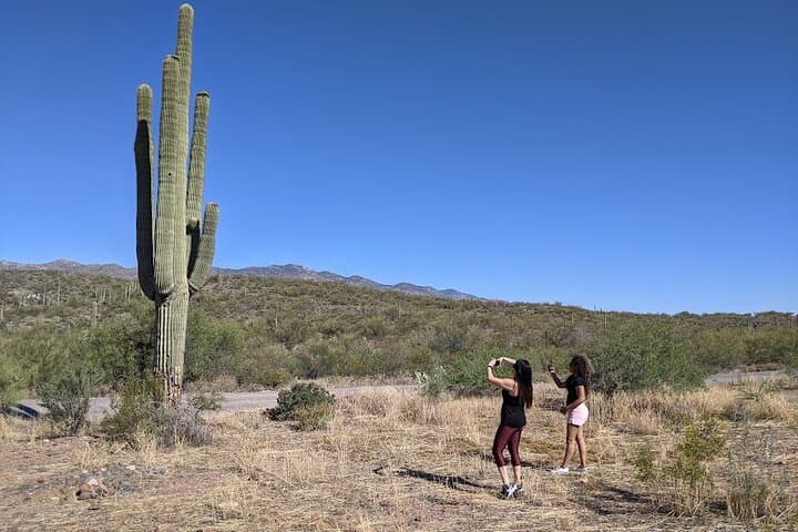 Sedona Day Trip from Phoenix: Small-Group Red Rock Tour with Chapel & Tlaquepaque photo 6