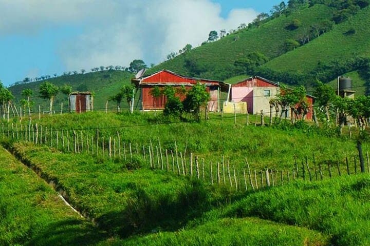 Discover Dominican Culture: An Enriching Half-Day Experience photo 3