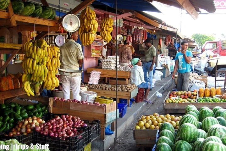 Explore Dominican Countryside: A Cultural Safari Adventure photo 4
