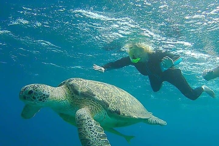 Hamata Islands Snorkeling Trip from Marsa Alam — Full-Day Boat Adventure photo 2