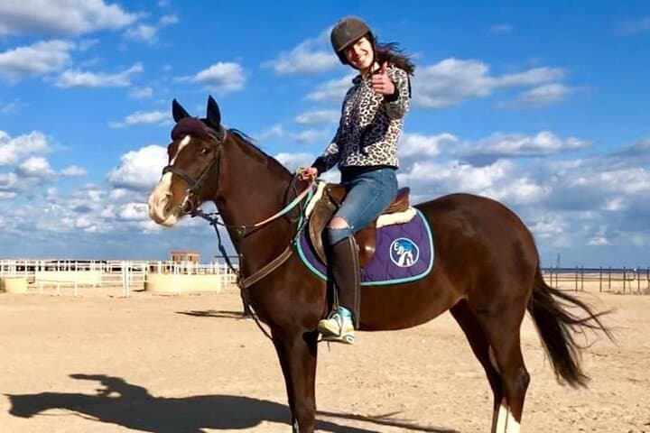 Hurghada Horseback Ride: Desert-to-Sea Beach Adventure on the Red Sea photo 5