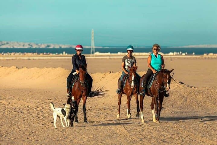 Sea and Desert Horseback Ride in Sharm El Sheikh photo 6