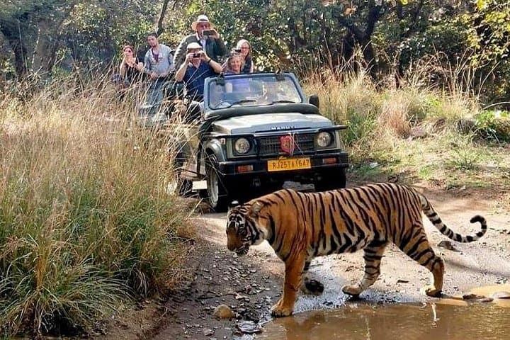 7-Day Golden Triangle Tour with Ranthambore & Varanasi — Delhi, Agra, Jaipur & Ganges Sunrise photo 2