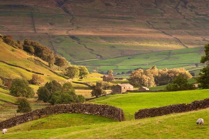 Private Luxury Yorkshire Dales Tour from York – Bolton Castle & Grassington Day Trip