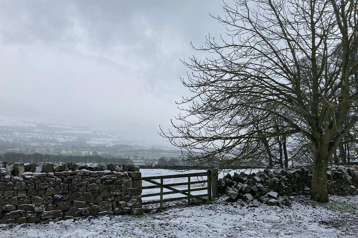 Private Luxury Yorkshire Dales Tour from York – Bolton Castle & Grassington Day Trip photo 3