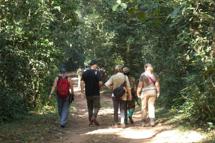 2-Day Gorilla Trek in Bwindi from Kigali: Rushaga Permits & Practical Guide