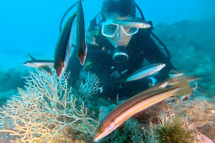 Eco Try Dive in Sesimbra: Intro Scuba and Marine Reserve Clean-up photo 2