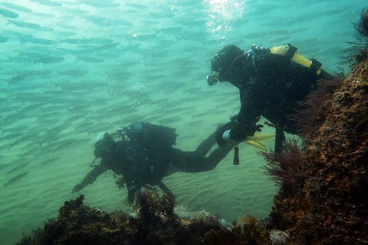 Eco Try Dive in Sesimbra: Intro Scuba and Marine Reserve Clean-up photo 6