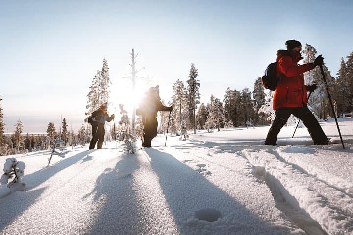 Ski Trekking Safari in Lapland: Backcountry Skiing from Rovaniemi photo 4
