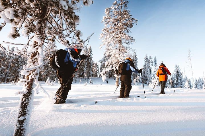Ski Trekking Safari in Lapland: Backcountry Skiing from Rovaniemi photo 1