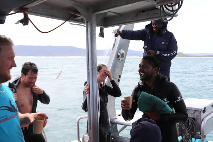 Shark Cage Diving in Gansbaai: Marine Dynamics Shark Alley Experience photo 3