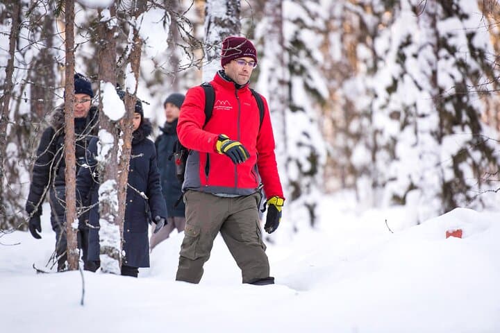 Arctic Snowshoe Trip in the Wilderness near Rovaniemi photo 3
