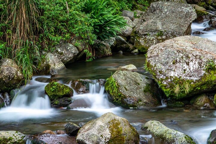 Boquete Panoramic Tour: 7-Hour Coffee, Waterfalls & Geology Circuit photo 4