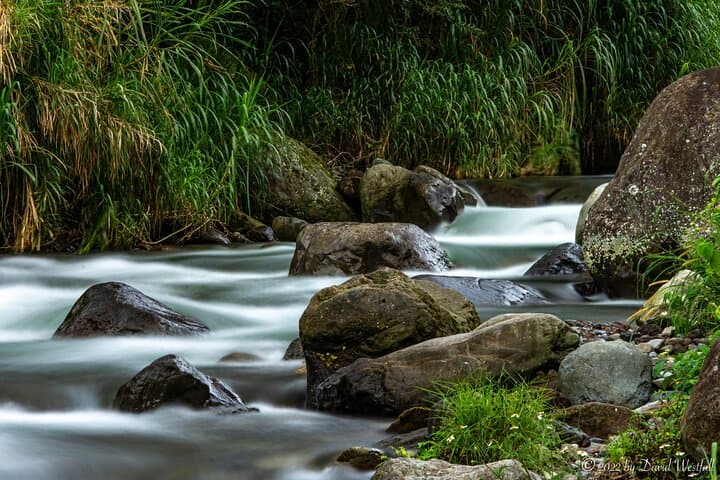 Boquete Panoramic Tour: 7-Hour Coffee, Waterfalls & Geology Circuit