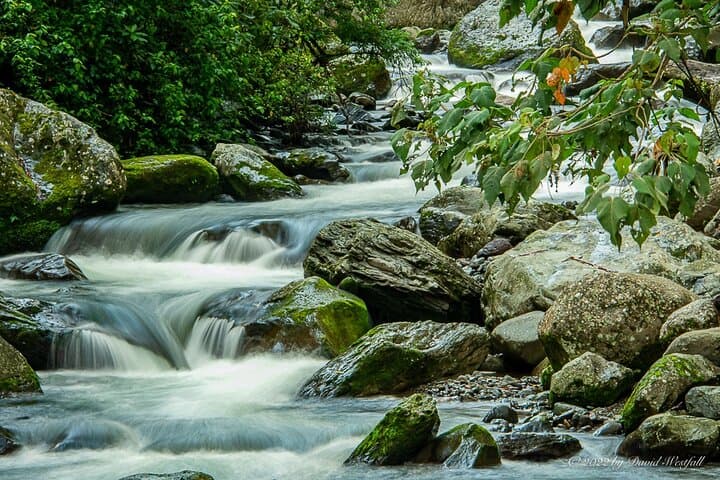 Boquete Panoramic Tour: 7-Hour Coffee, Waterfalls & Geology Circuit photo 6
