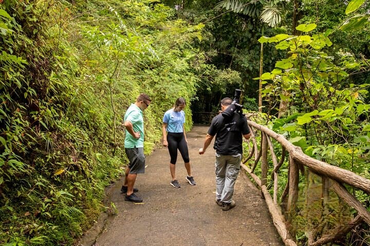Arenal Hanging Bridges: Mistico Rainforest Walk with Volcano Views photo 2