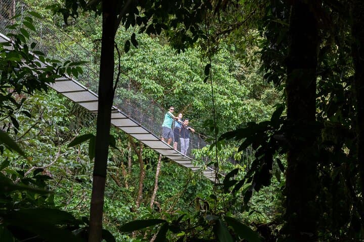Arenal Hanging Bridges: Mistico Rainforest Walk with Volcano Views