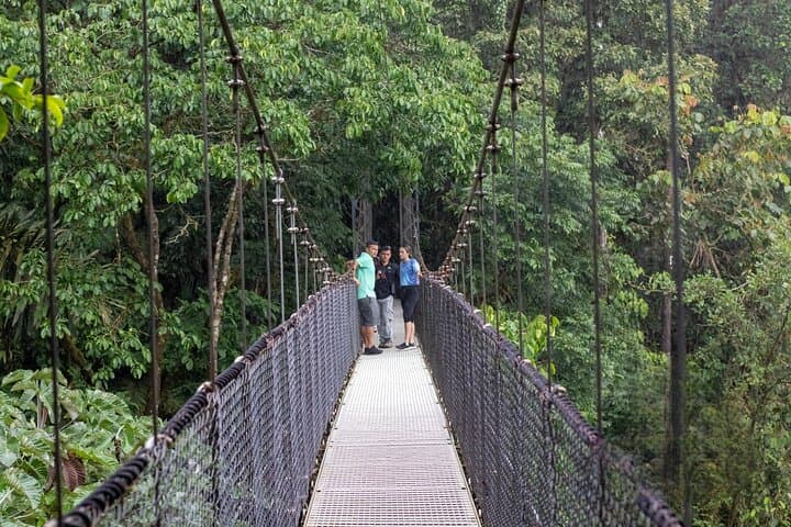 Arenal Hanging Bridges: Mistico Rainforest Walk with Volcano Views photo 3