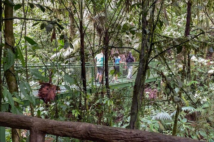 Arenal Hanging Bridges: Mistico Rainforest Walk with Volcano Views photo 4