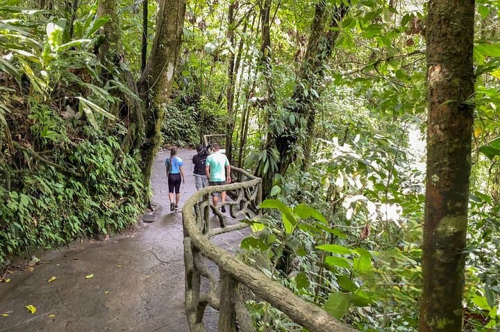 Arenal Hanging Bridges: Mistico Rainforest Walk with Volcano Views photo 5