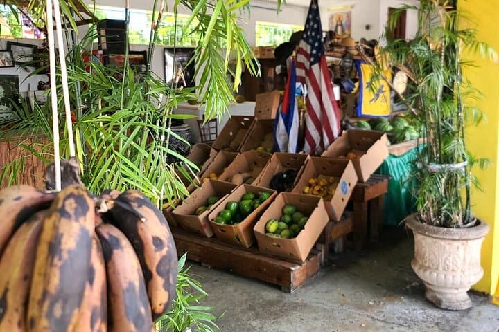 Little Havana Food & Culture Walking Tour — Calle Ocho Eats and History photo 5