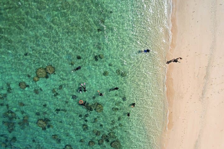 Frankland Islands Great Barrier Reef: All-Inclusive Day Cruise from Cairns photo 4