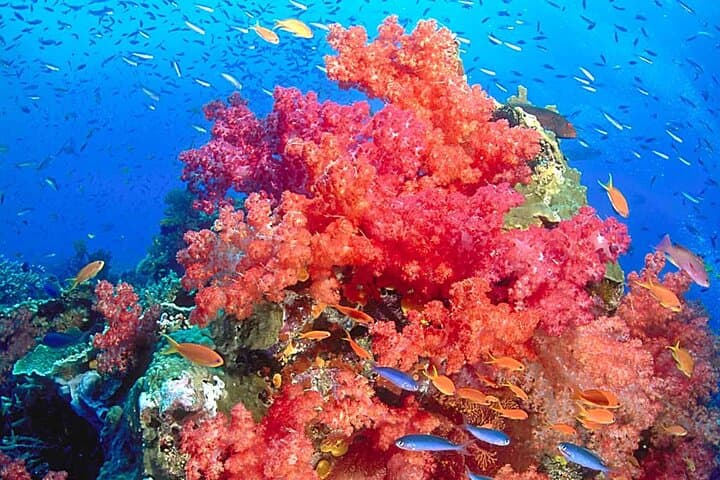 Trang Emerald Cave & 3-Island Snorkel: Koh Kradan, Koh Mook, Waen photo 3