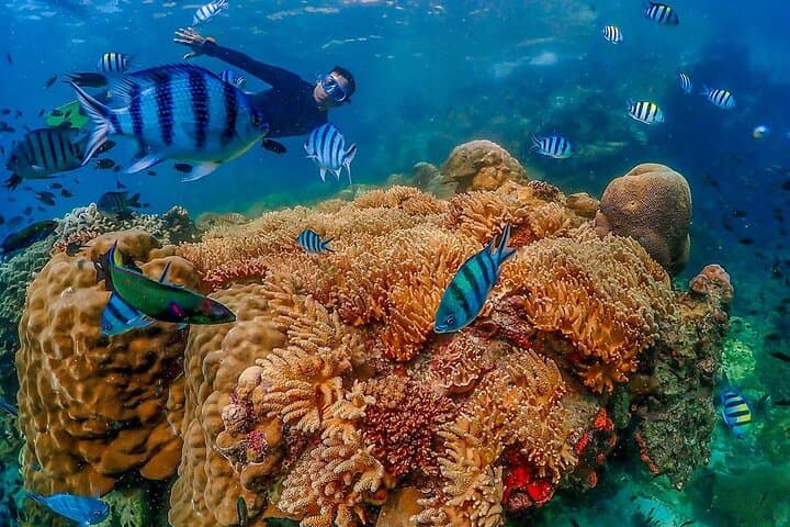 Trang Emerald Cave & 3-Island Snorkel: Koh Kradan, Koh Mook, Waen